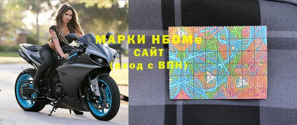 ПСИЛОЦИБИНОВЫЕ ГРИБЫ Арсеньев