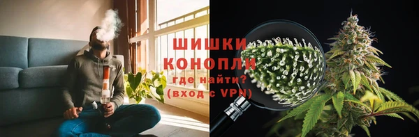 ПСИЛОЦИБИНОВЫЕ ГРИБЫ Арсеньев