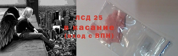 ПСИЛОЦИБИНОВЫЕ ГРИБЫ Арсеньев
