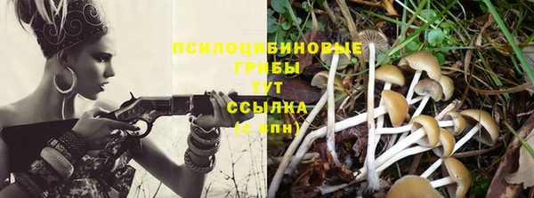 ПСИЛОЦИБИНОВЫЕ ГРИБЫ Арсеньев
