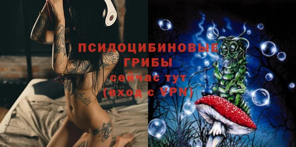 ПСИЛОЦИБИНОВЫЕ ГРИБЫ Арсеньев