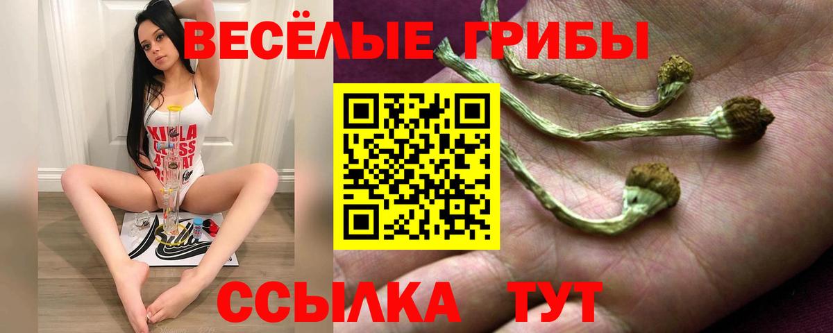 Галлюциногенные грибы Psilocybe  Галлюциногенные грибы MAGIC MUSHROOMS  Вход с VPN  Белово 